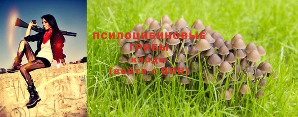 хмурый Белоозёрский